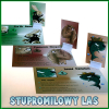 Stupromilowy Las - Imprezowa gra dla Tych, którzy nie mają hamulców! 🌲🍺🎲